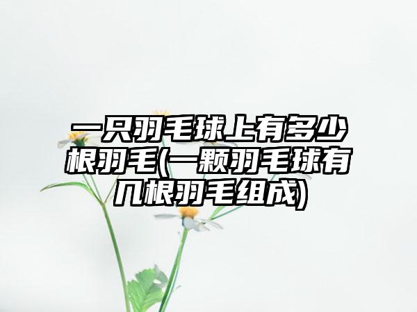 一只羽毛球上有多少根羽毛(一颗羽毛球有几根羽毛组成)