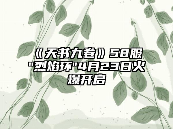 《天书九卷》58服