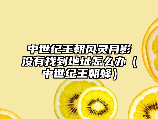 中世纪王朝风灵月影没有找到地址怎么办（中世纪王朝蜂）