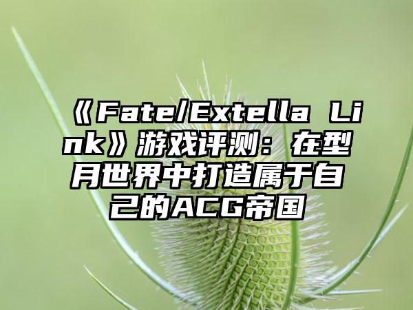 《Fate/Extella Link》游戏评测：在型月世界中打造属于自己的ACG帝国