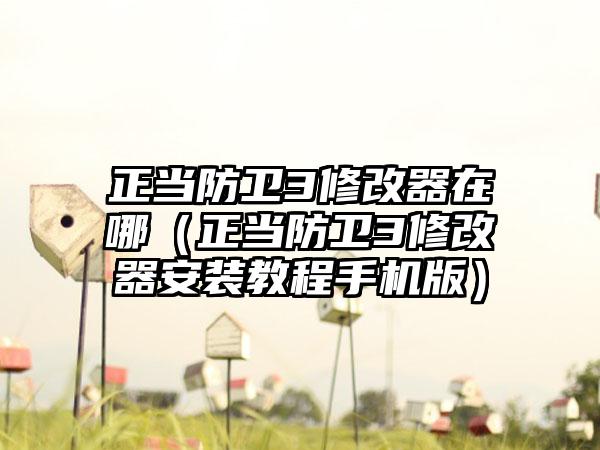 正当防卫3修改器在哪（正当防卫3修改器安装教程手机版）