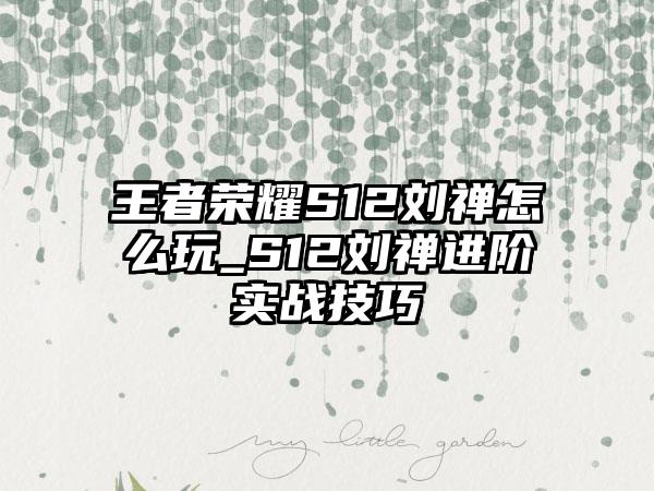 王者荣耀S12刘禅怎么玩_S12刘禅进阶实战技巧