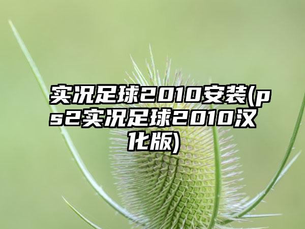 实况足球2010安装(ps2实况足球2010汉化版)