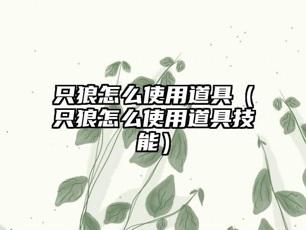 只狼怎么使用道具（只狼怎么使用道具技能）