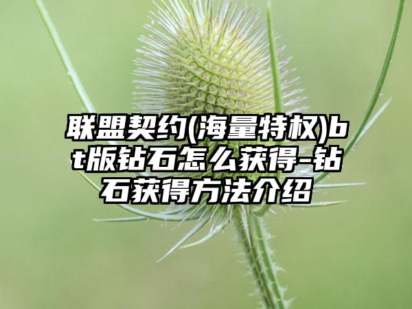 联盟契约(海量特权)bt版钻石怎么获得-钻石获得方法介绍