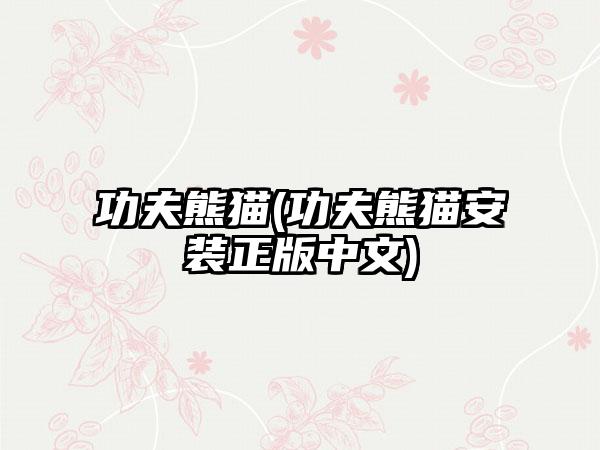 功夫熊猫(功夫熊猫安装正版中文)