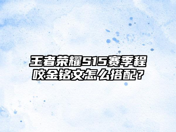 王者荣耀S15赛季程咬金铭文怎么搭配？