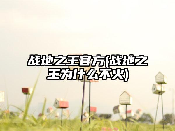 战地之王官方(战地之王为什么不火)