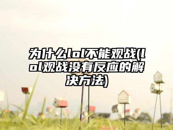 为什么lol不能观战(lol观战没有反应的解决方法)