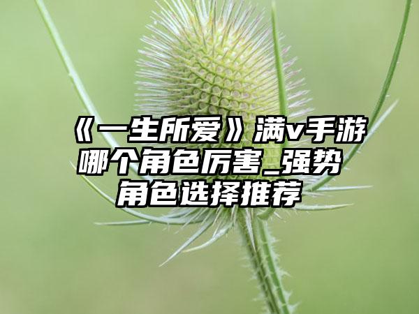 《一生所爱》满v手游哪个角色厉害_强势角色选择推荐