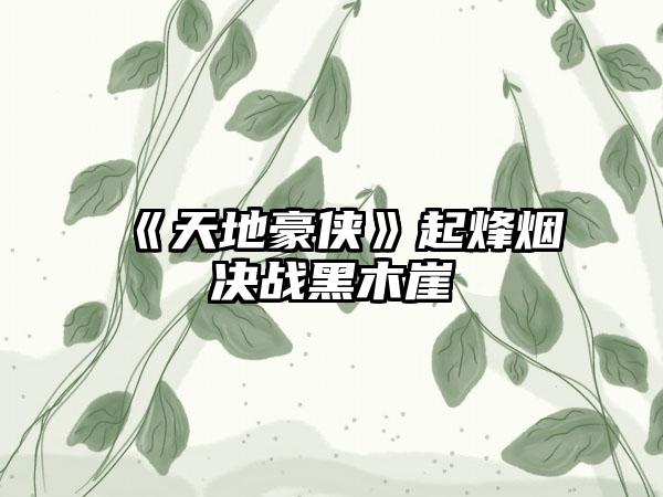 《天地豪侠》起烽烟决战黑木崖