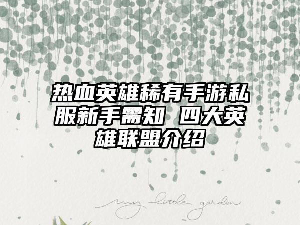 热血英雄稀有手游私服新手需知 四大英雄联盟介绍