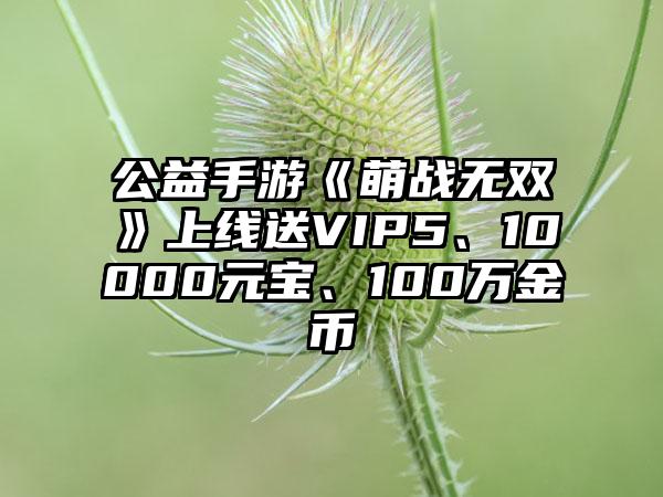 公益手游《萌战无双》上线送VIP5、10000元宝、100万金币