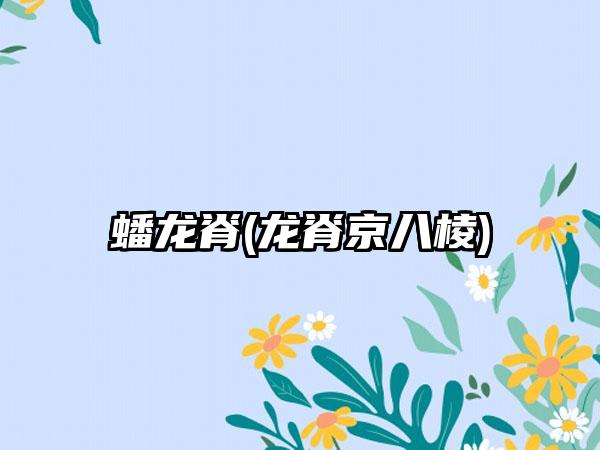 蟠龙脊(龙脊京八棱)