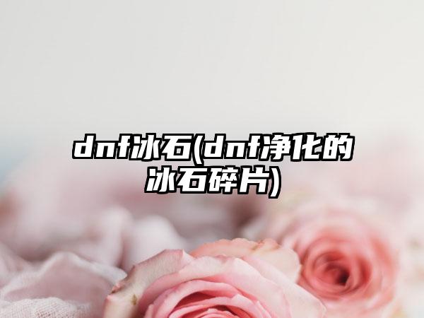 dnf冰石(dnf净化的冰石碎片)