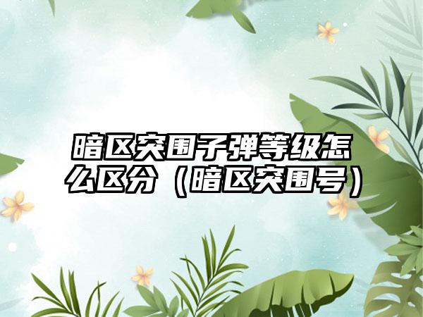 暗区突围子弹等级怎么区分（暗区突围号）