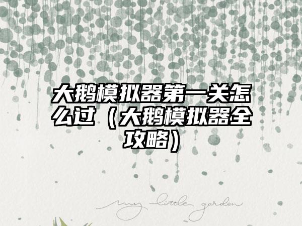 大鹅模拟器第一关怎么过（大鹅模拟器全攻略）