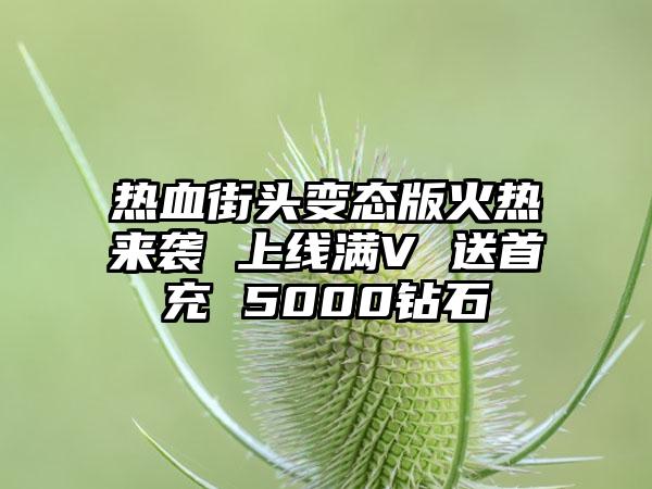 热血街头变态版火热来袭 上线满V 送首充 5000钻石
