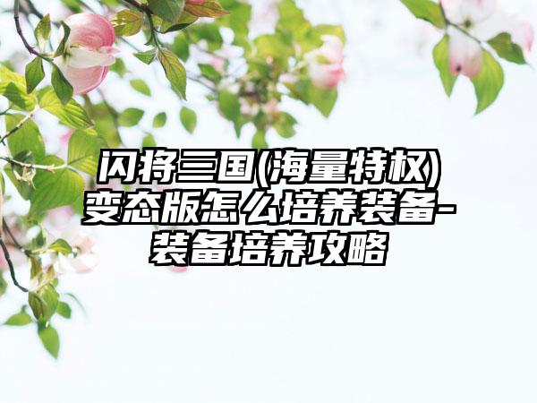 闪将三国(海量特权)变态版怎么培养装备-装备培养攻略