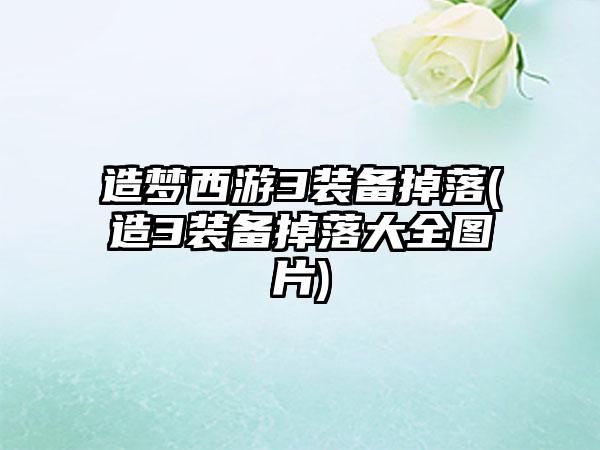 造梦西游3装备掉落(造3装备掉落大全图片)