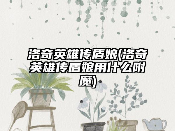 洛奇英雄传盾娘(洛奇英雄传盾娘用什么附魔)