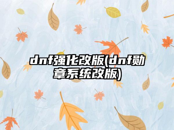 dnf强化改版(dnf勋章系统改版)