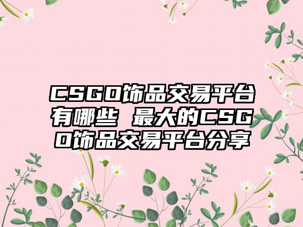 CSGO饰品交易平台有哪些 最大的CSGO饰品交易平台分享