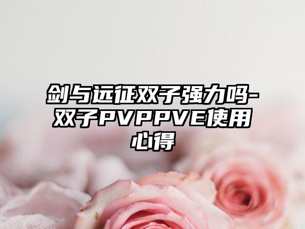 剑与远征双子强力吗-双子PVPPVE使用心得
