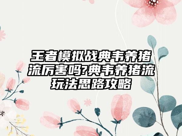 王者模拟战典韦养猪流厉害吗?典韦养猪流玩法思路攻略