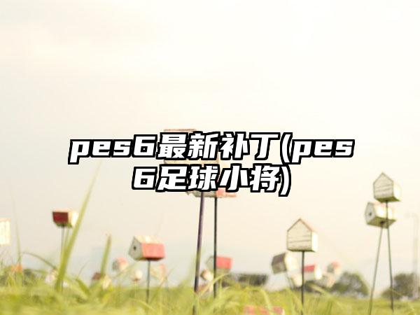 pes6最新补丁(pes6足球小将)