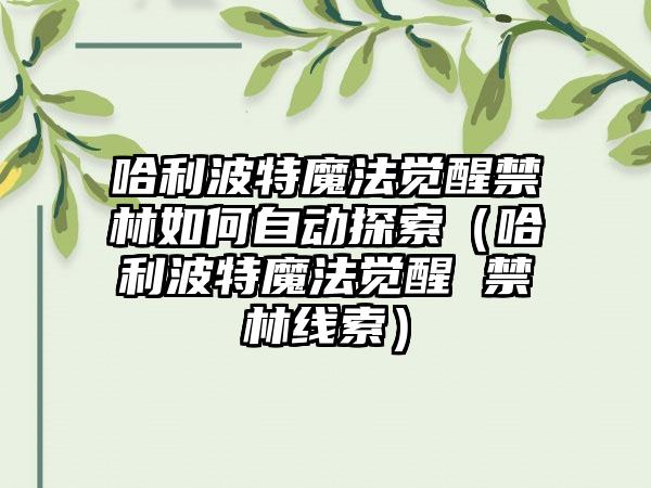 哈利波特魔法觉醒禁林如何自动探索（哈利波特魔法觉醒 禁林线索）
