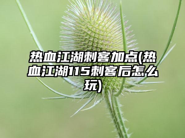 热血江湖刺客加点(热血江湖115刺客后怎么玩)