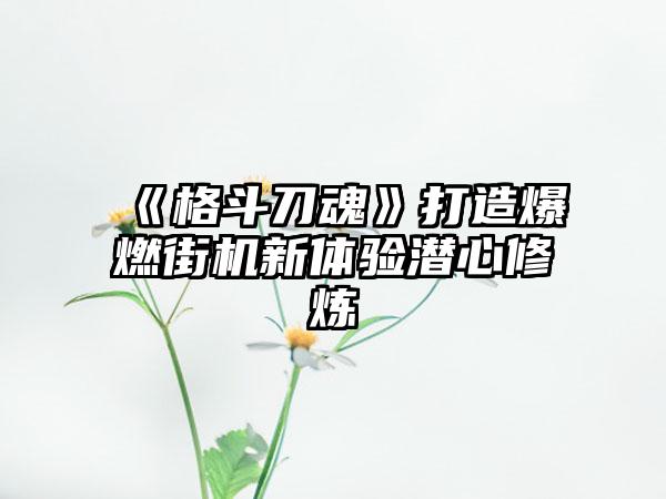 《格斗刀魂》打造爆燃街机新体验潜心修炼