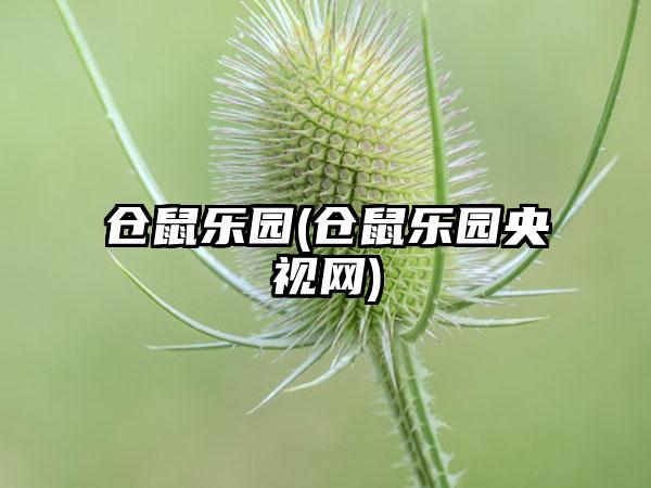 仓鼠乐园(仓鼠乐园央视网)