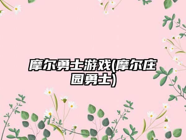 摩尔勇士游戏(摩尔庄园勇士)