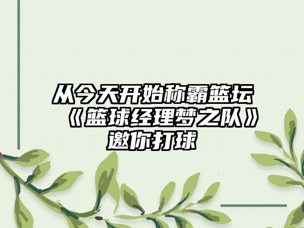 从今天开始称霸篮坛 《篮球经理梦之队》邀你打球