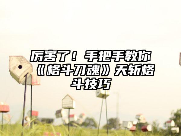 厉害了！手把手教你《格斗刀魂》天斩格斗技巧