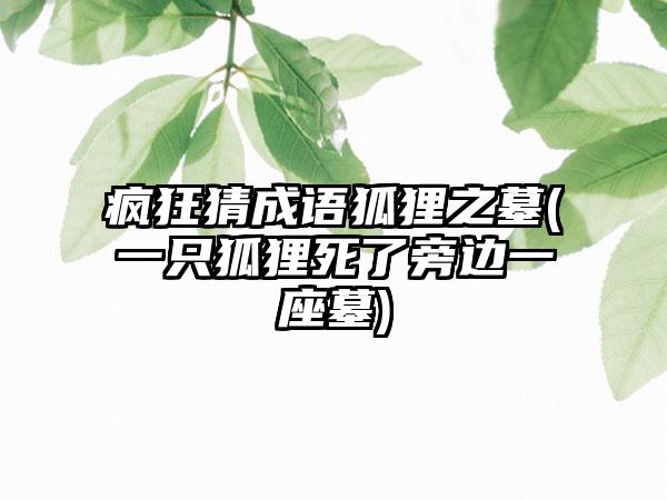 疯狂猜成语狐狸之墓(一只狐狸死了旁边一座墓)