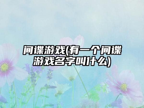 间谍游戏(有一个间谍游戏名字叫什么)