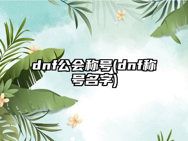 dnf公会称号(dnf称号名字)