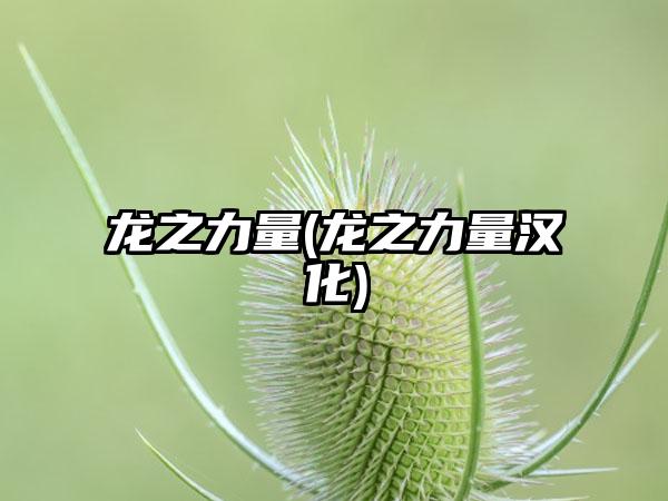 龙之力量(龙之力量汉化)