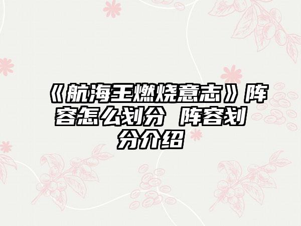 《航海王燃烧意志》阵容怎么划分 阵容划分介绍