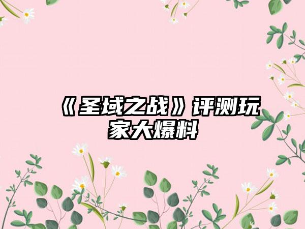 《圣域之战》评测玩家大爆料