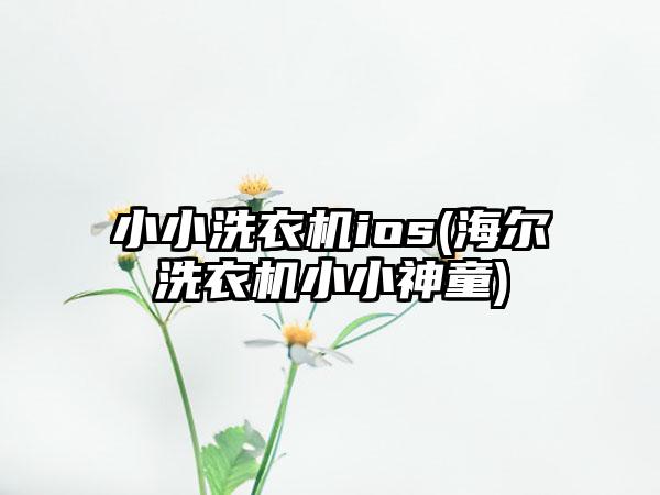小小洗衣机ios(海尔洗衣机小小神童)