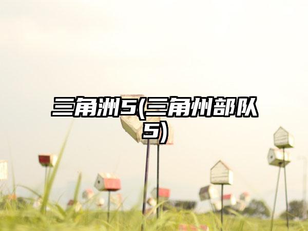 三角洲5(三角州部队5)