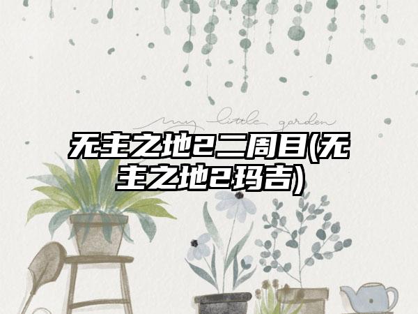 无主之地2二周目(无主之地2玛吉)