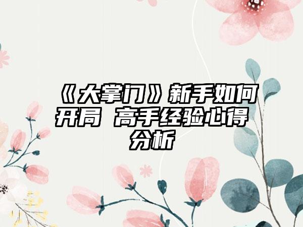 《大掌门》新手如何开局 高手经验心得分析