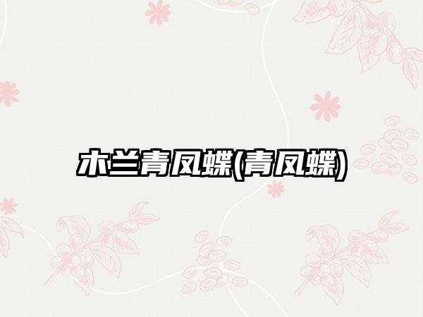 木兰青凤蝶(青凤蝶)