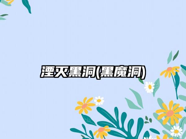 湮灭黑洞(黑魔洞)