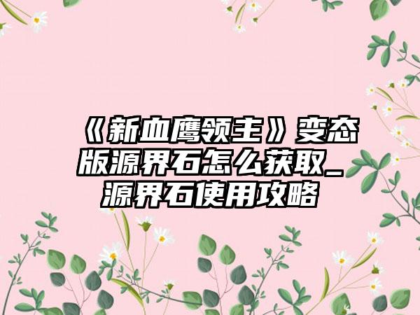 《新血鹰领主》变态版源界石怎么获取_源界石使用攻略